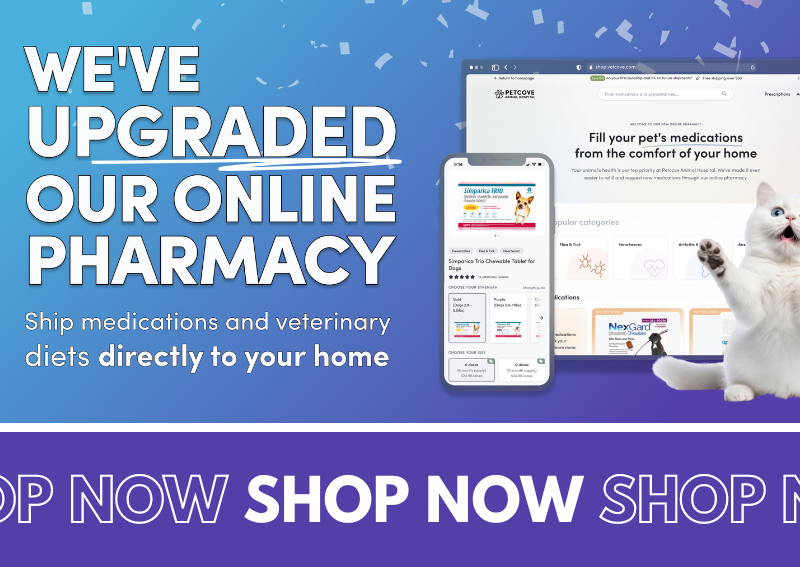 Carousel Slide 2: Shop our new and improved online pet pharmacy!