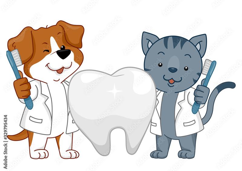 Carousel Slide 1: DENTAL X-RAY IS COMING!!!!
We are excited to add to our growing list of diagnostic resources to ensure that your pet receives the best possible care available.